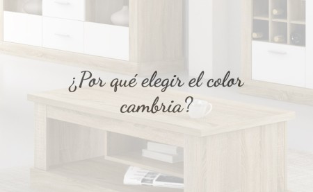 ¿Por qué elegir el color Cambria?